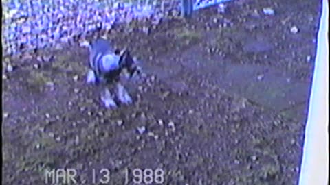 1988-NJ-Molly&Gramee