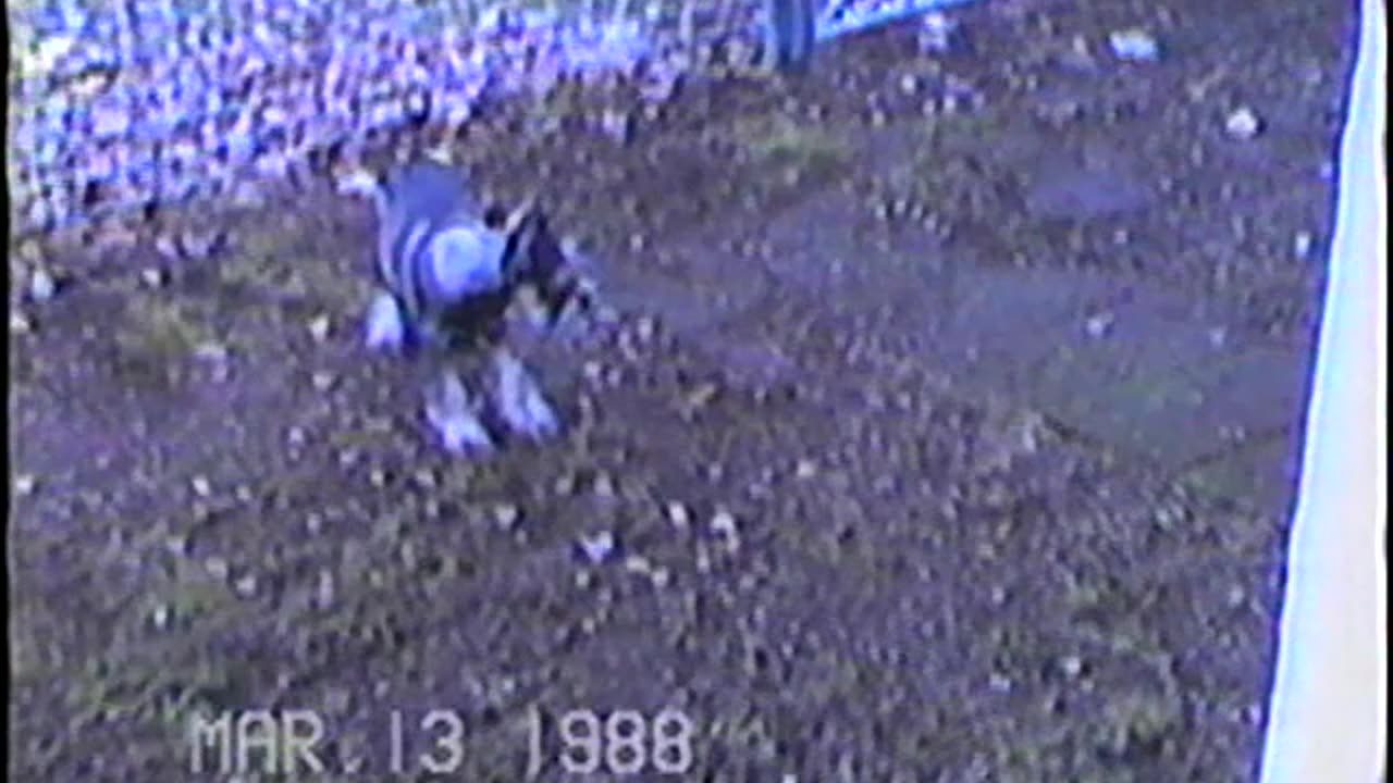 1988-NJ-Molly&Gramee