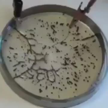 Self assembling Graphene Oxide.