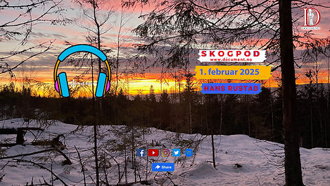 Skogpod 1. februar 2025