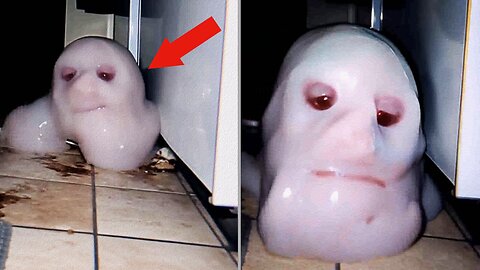 12 Terrifying Encounters Caught On Camera