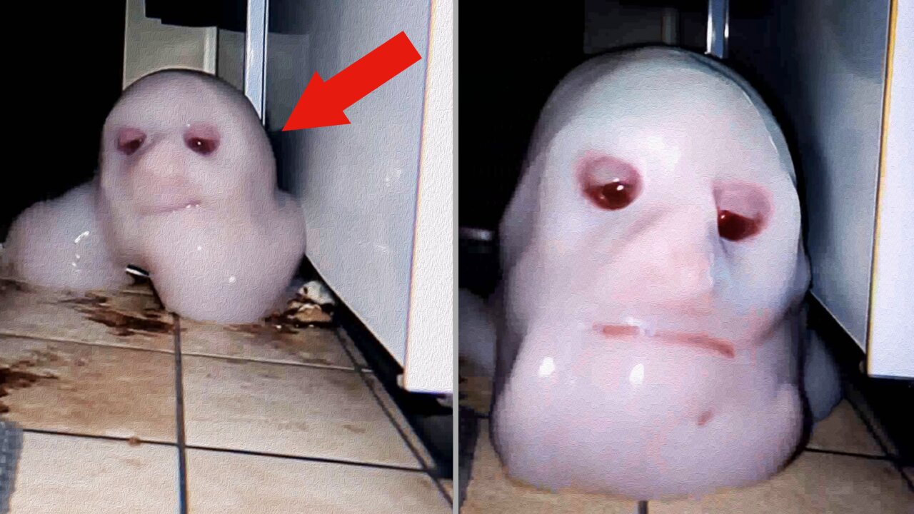 12 Terrifying Encounters Caught On Camera