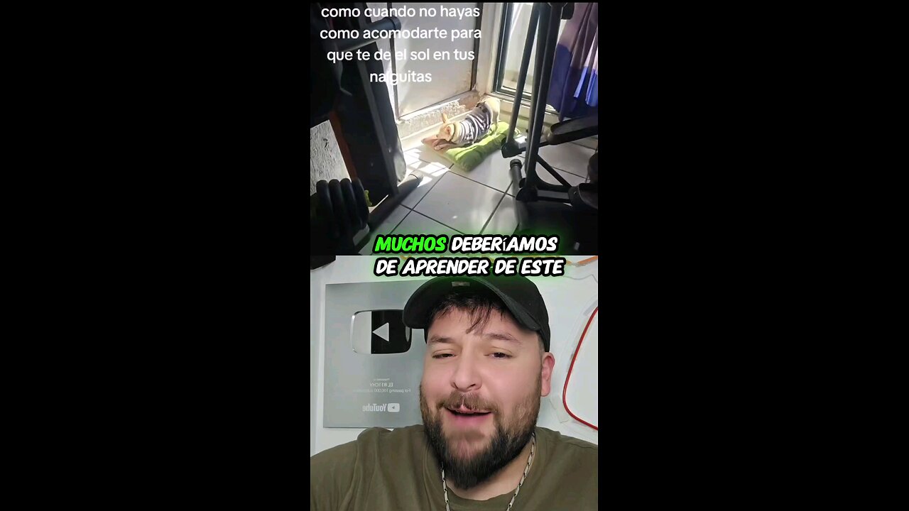Perrito asoleando su colita ðŸ¤