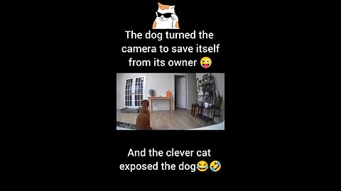 🤣🤣