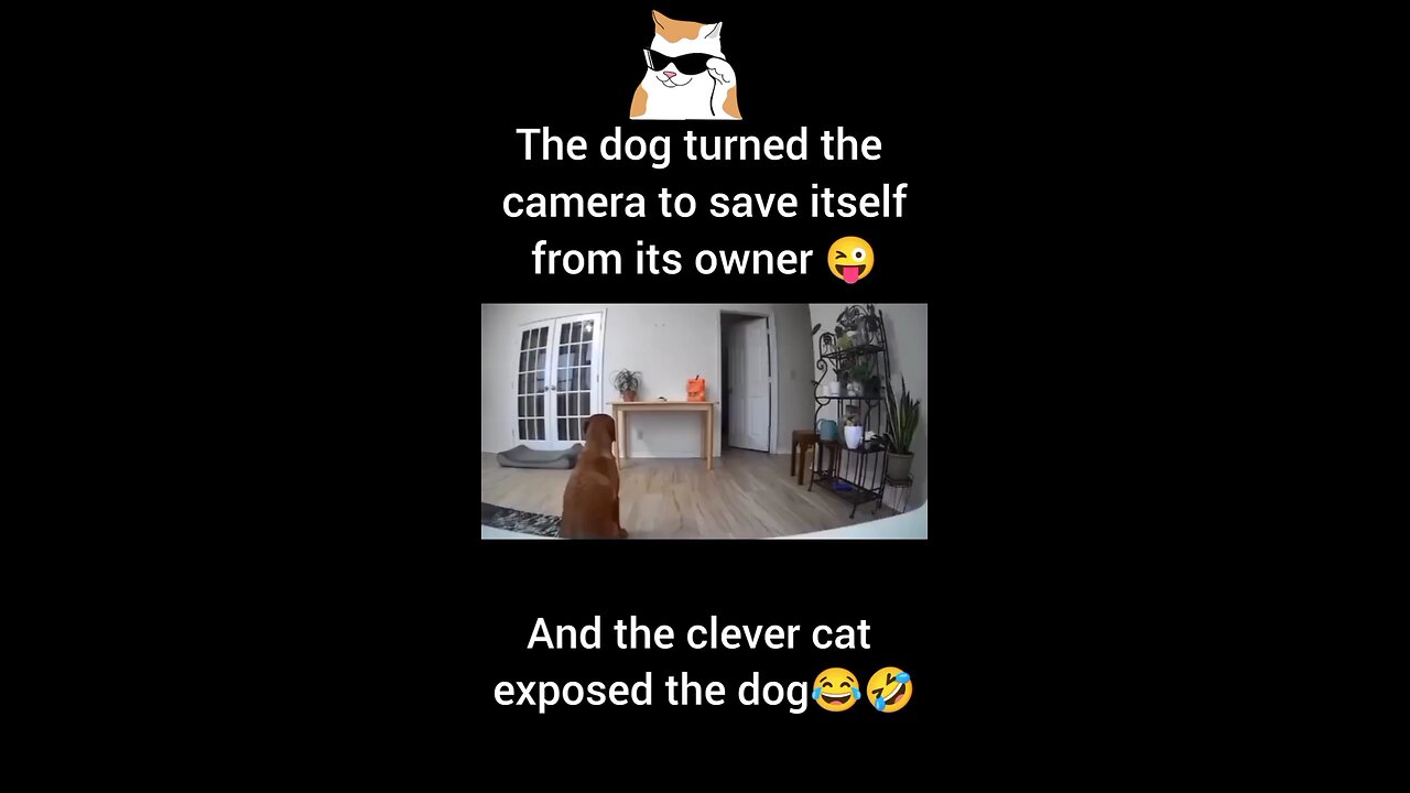🤣🤣
