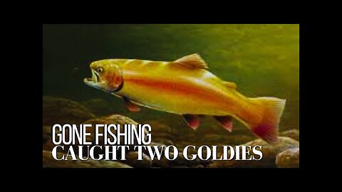 Gone Fishing (Caught two Goldies)