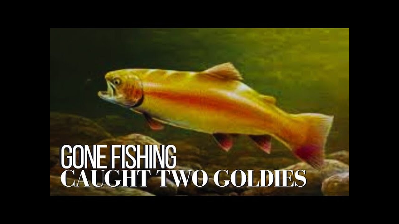 Gone Fishing (Caught two Goldies)