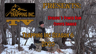 Trapping Inc Season 6 Episode 1 Power Ram Coyote Snares