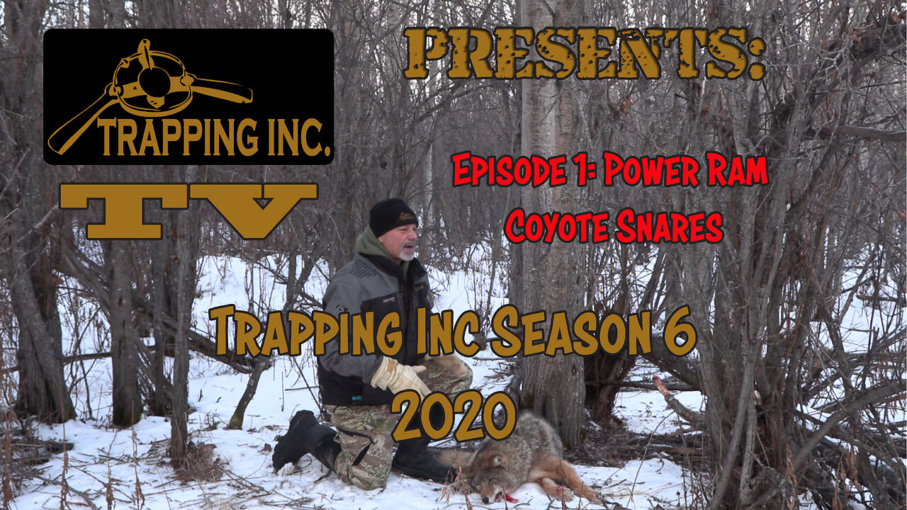 Trapping Inc Season 6 Episode 1 Power Ram Coyote Snares