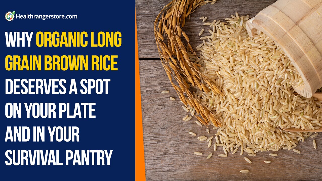 Why Organic Long Grain Brown Rice deserves a spot on your plate and in your survival pantry