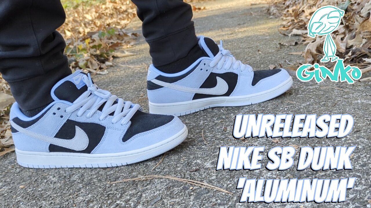 UNRELEASED 2025 Nike SB Dunk Low 'Aluminum' Sneaker Review