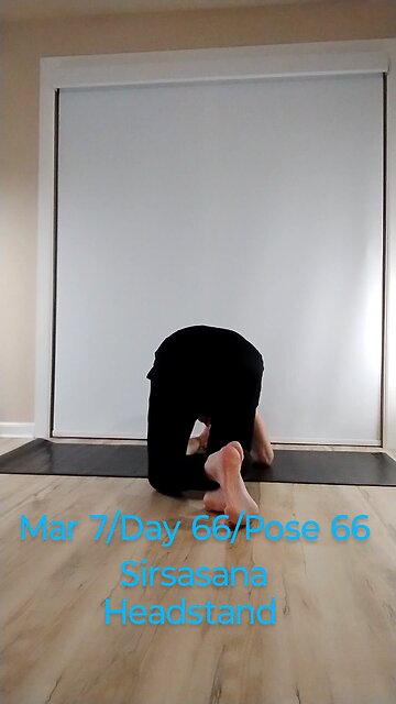 Sirsasana / Headstand