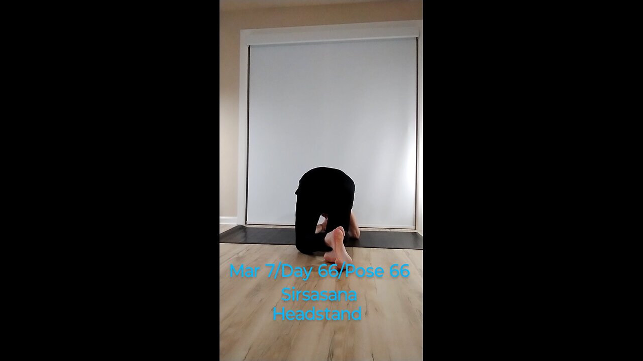 Sirsasana / Headstand