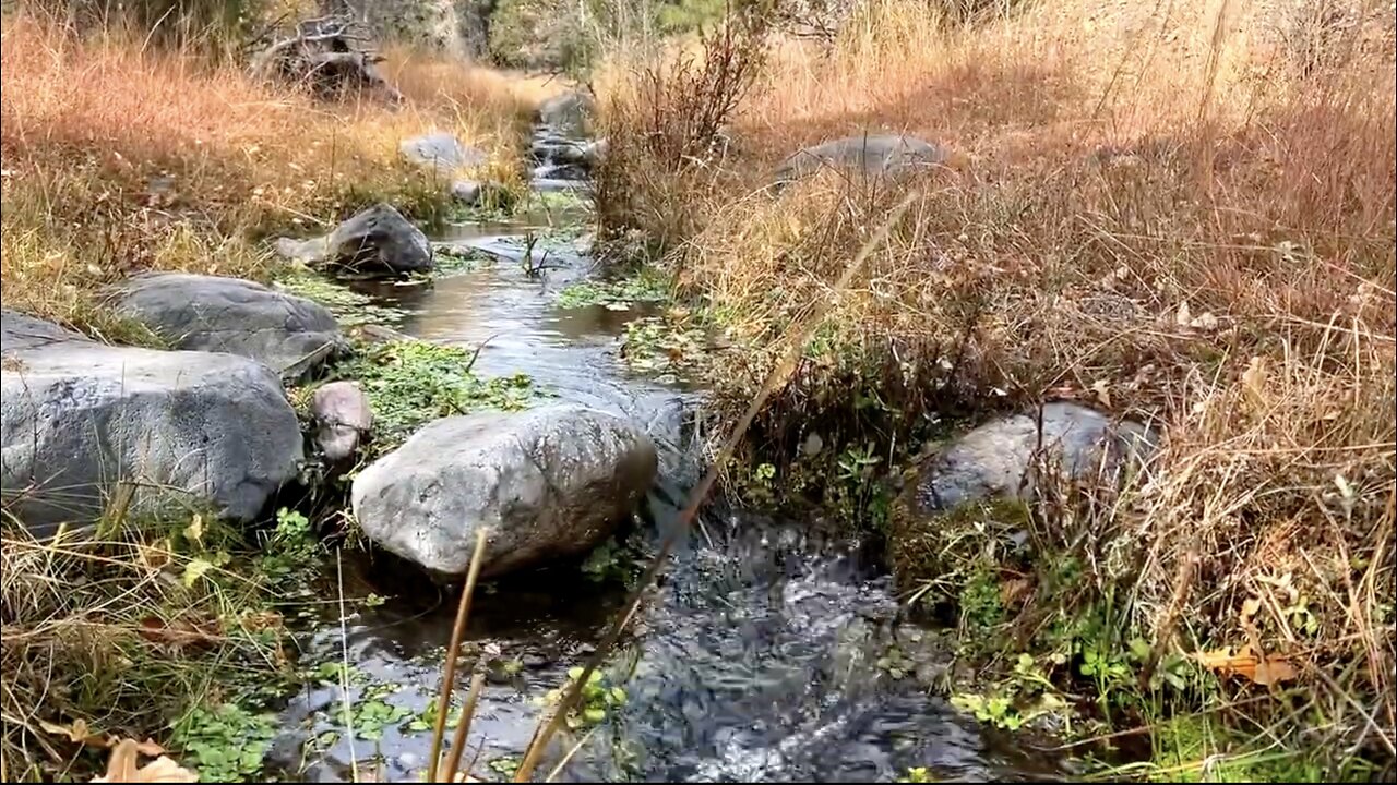 Arizona Spring-Fed Creeks Hardly Anyone Knows About...