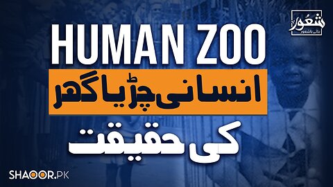 Human Zoos: The 5 Stages of Brainwashing | Unveiling the Dark Truth