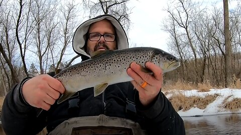 Catching a Massive 20-Inch Brown Trout! #shorts