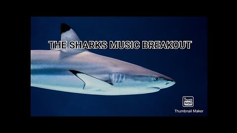 THE SHARKS. MUSIC BREAKOUT