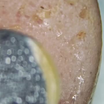 I mówią, że weganie są dziwni w jedzeniu roślin. Credit: @larry.scope na Instagramie.