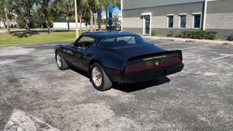 1980 Pontiac Trans Am Turbo Bandit 4.9 Liter