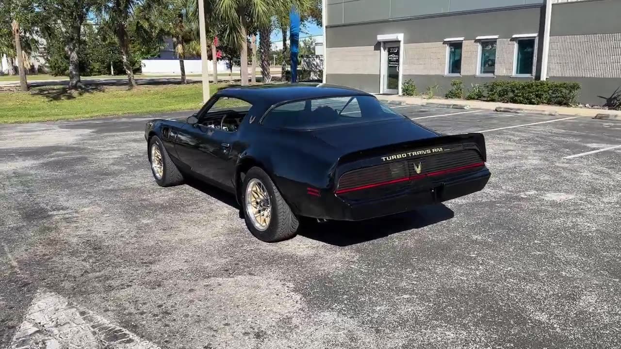 1980 Pontiac Trans Am Turbo Bandit 4.9 Liter