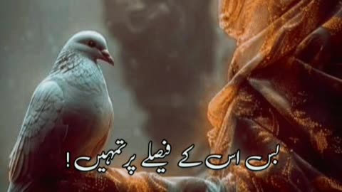 Allah pay yaqeen