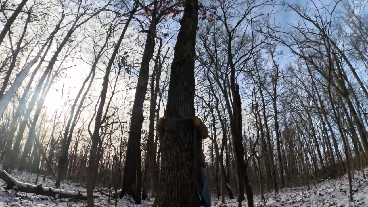 Trail Camera 6 Move to Where Back of woods behind hunters shack