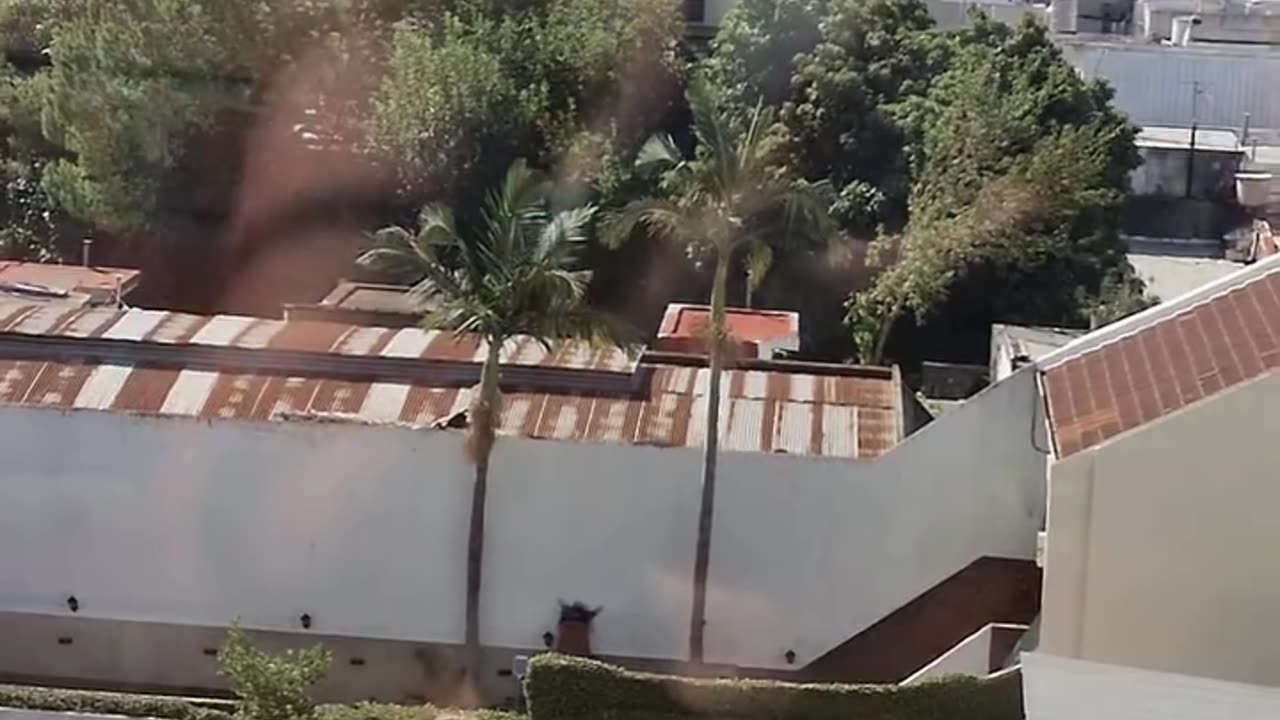 luciana.noguera #sun