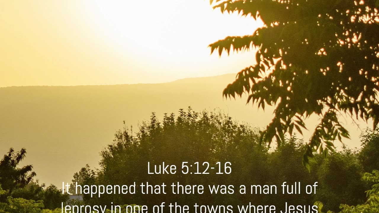 A reading from the Gospel according to Luke, 5:12-16