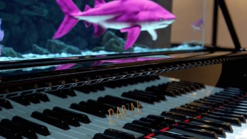 Aquarium Powered Piano