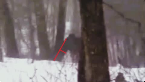 Imagine meeting a Bigfoot / Manimal in winter snow hunt