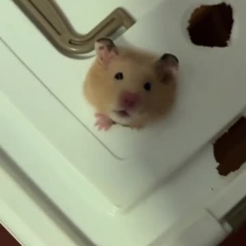 Mom, I Didn't Do Anything