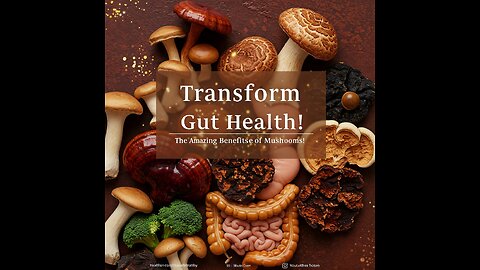 Transform Gut Health - The Amazing Benefits of Functional Mushrooms