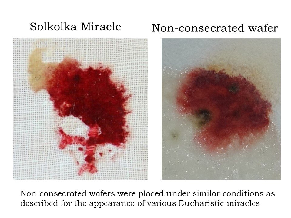 The Scientific Truth about Eucharistic Miracles (w/ Dr. Kelly Kearse & Kevin Nontradicath)