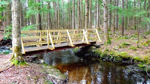 Foot Bridge