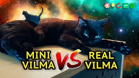 Vilma Cat Versus Mini Vilma