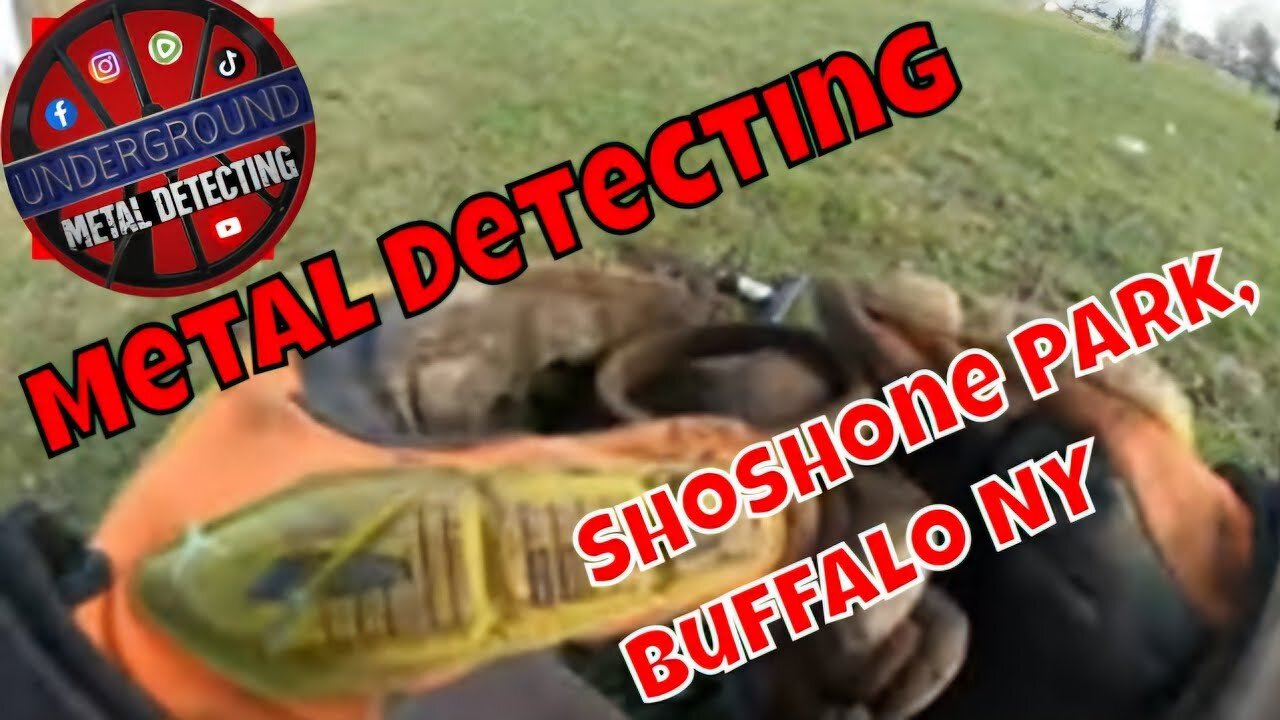 Minelab Equinox 800 - Metal Detecting Shoshone Park in Buffalo, NY