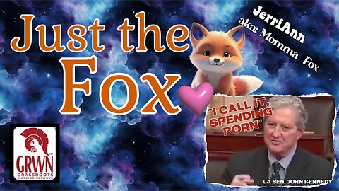 Just the Fox - Spending Porn