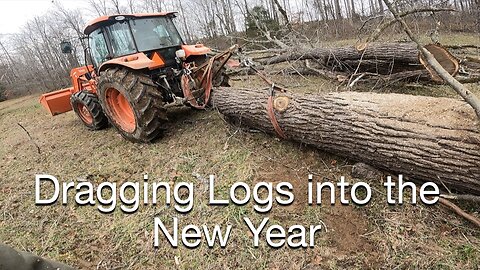 Dragging Logs into the New Year