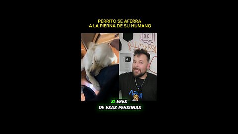 Perrito abrazan a su humano por que sabe que saldrá por mucho tiempo 😭