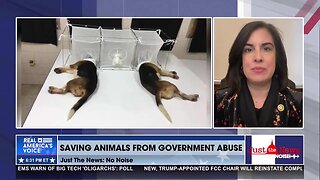 Rep. Nicole Malliotakis sounds the alarm on taxpayer-funded, abusive experiments on animals