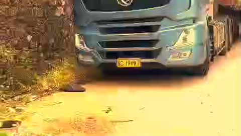 Beautiful Truck Driver Girl