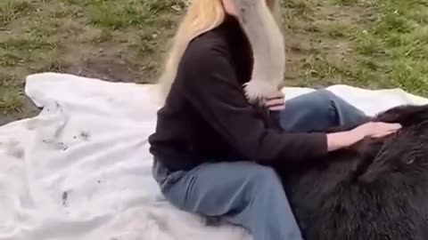 Cute Pets with a Twist: Witness Their Strange Behaviors!