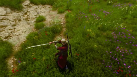 Witcher 3 Spinning Swords