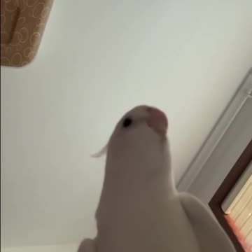 Etched in your brain 😊