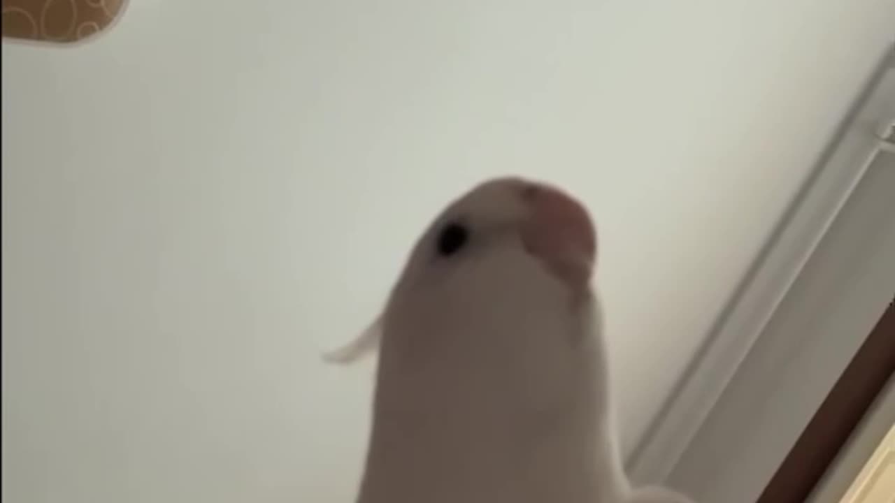 Etched in your brain 😊