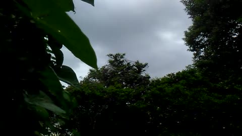 Truenos y Lluvia - Tormenta corta de verano - Tacuarembo (04/03/2025)