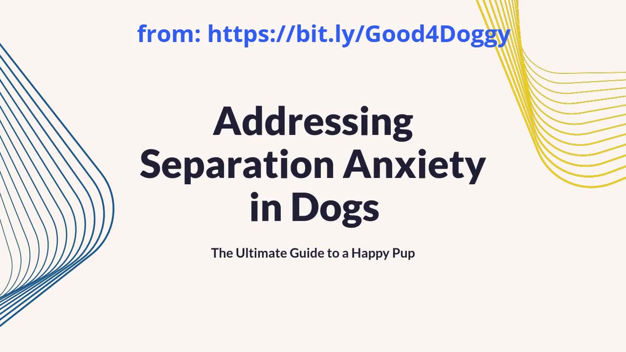 Addressing Separation Anxiety in Dogs: The Ultimate Guide to a Happy Pup!