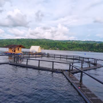 The Final Hexafarm for Reef Resort