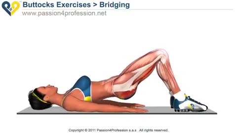 Best Tone Buttocks exercises / Reduce Buttocks and thighs with Bridging exercise