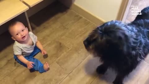 Funny Kids Animal Video Smile